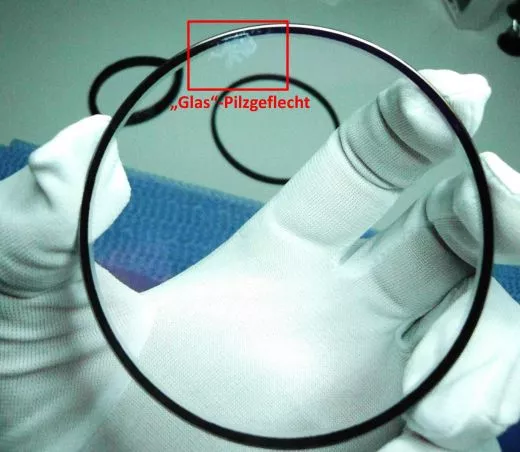 Fungal infestation in Flattener - Disassembly & Cleaning