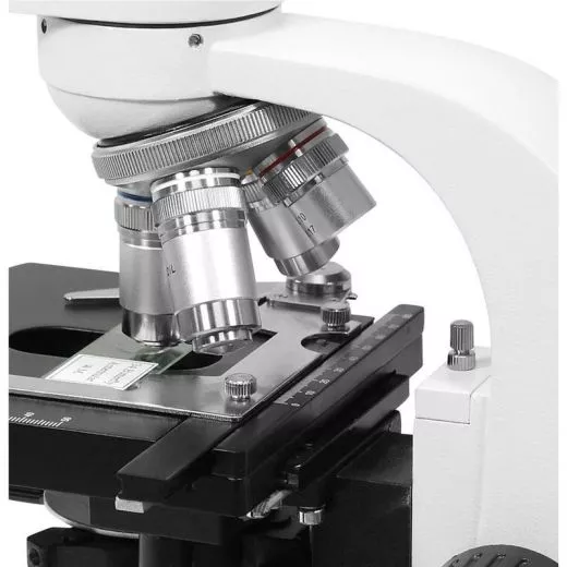 Hochwertiges biologisches Durchlichtmikroskop, binokular, Achromat, bis 1000x, LED