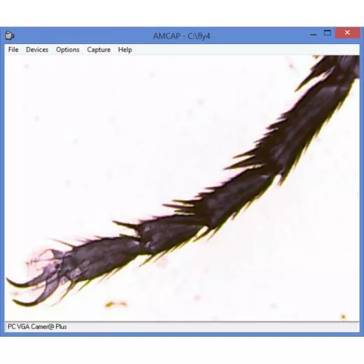Biologisches Einsteigermikroskop, monokular, mit Kamera, bis 1280x, LED z.B. von Omegon