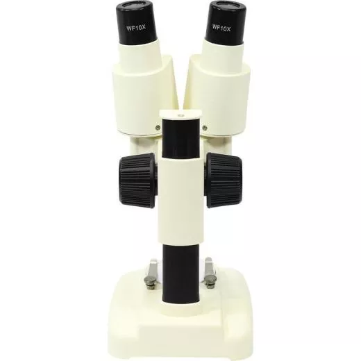 Einsteiger Stereomikroskop fr Auflicht, 20x, LED