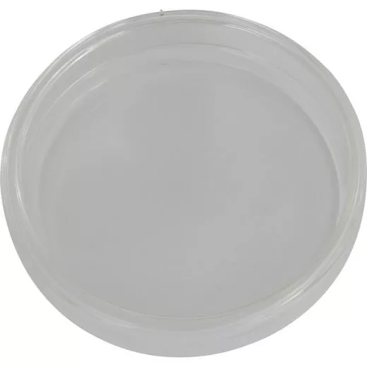 Petrischale 100 mm Glas mit Deckel