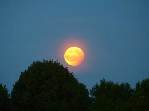 Partielle Mondfinsternis