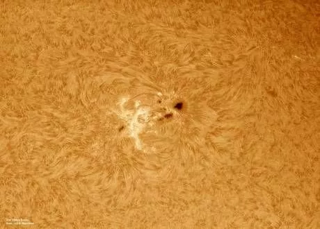 LUNT LS100FHa/B600d1 H-Alpha Sonnenfilter --