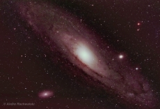 Hier ein Bild von Andromeda, aufgenommen mit Rasa11, ASI 294pro , 80x 6 Sekunden