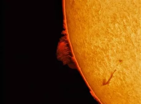 LUNT LS80THa/DSII Double-Stack Modul fr LS80THa