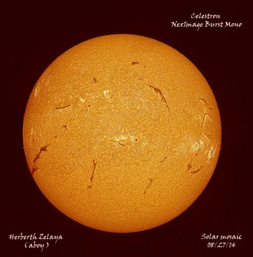NexImage Burst Monochrom Planetenkamera (Aptina Chip) Celestron