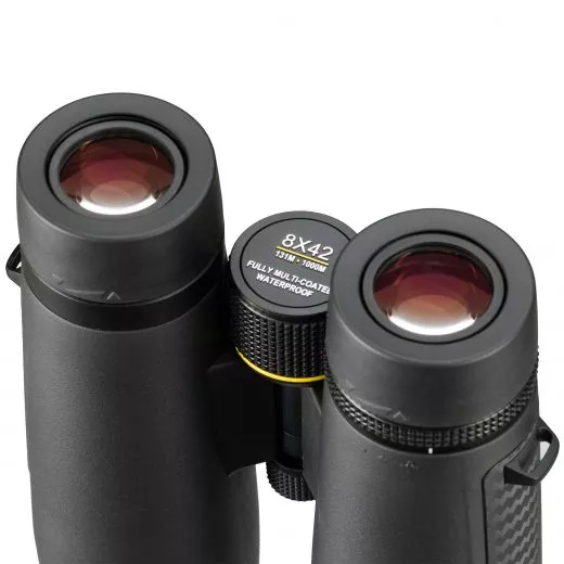 EXPLORE SCIENTIFIC G400 8x42 Dachkant Fernglas mit Phasenvergtung