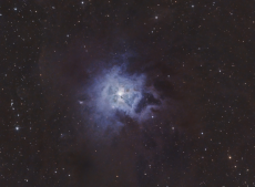 NGC 7023 - Iris-Nebel mit ZWO AM5, Explorer 200PDS, Zwo ASI1600MC-Pro