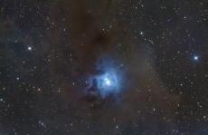 NGC 7023 - Iris-Nebel mit EQ6-R, Explorer 200PDS, Omegon VeTEC 571c