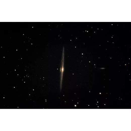Meade Teleskop ACF-SC 254/2032 Starlock LX600 ohne Stativ