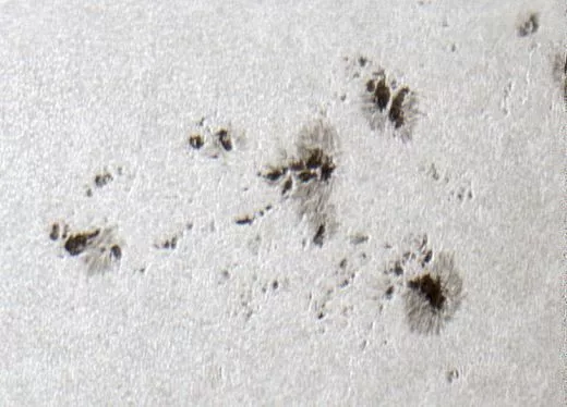Light bridges in the sunspots AR 13643 and AR 13647 on 23 April 2024