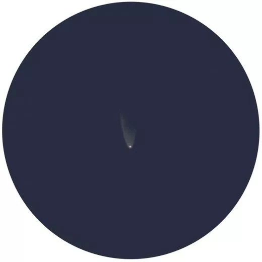 Zeichnung von Komet Panstarr mit einem 120mm 600mm SkyWatcher Re