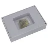 Omegon Mini Fossil Set