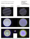 Ein Qualitätsnachweis / Testbericht mit Sterntest und Ronchi für TSED102F7 TS ED 102mm f/7 APO Refraktor Teleskop