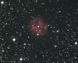 Cocoon-Nebel mit 130PDS Photonewton, QSI 540