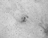 Unser Sternenfreund Marcel Drechsler hat eine einmalige Entdeckung gemacht.