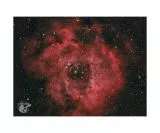 Hypercam 269C PRO TEC Color Astro Camera Peltier Cooling Sensor D=21.8 mm