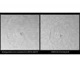 TS-Optics TS174C USB3.0 COLOR astro camera - air cooling - sensor D=13.4 mm