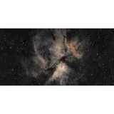 DWARFLAB AP 24/100 DWARF II Deluxe Edition Teleskop