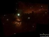 M42 Orionnebel und Pferdekopf- und Flammennebel mit ZWO Seestar S50