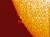 Eine sich sehr schnell verändernde Protuberanz am 19. Juni 2026