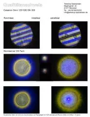 Qualittsnachweis mit Sterntest und Ronchi fr einen Celestron OMNI 120/1000mm Refraktor: