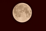 Mond mit Skywatcher Evostar-120 auf N-EQ5 120mm 1000mm f/8,3 Refraktor Teleskop