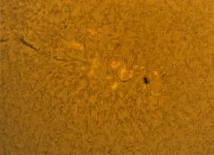 LUNT LS60THA/B600FTPT H-ALPHA SONNENTELESKOP