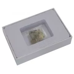 Omegon Mini Fossil Set