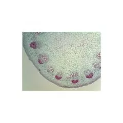 Microscope / Telescope USB Camera, WebCam