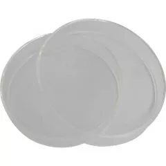 Petrischale 100 mm Glas mit Deckel