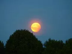 Partielle Mondfinsternis