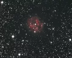 Cocoon-Nebel mit 130PDS Photonewton, QSI 540