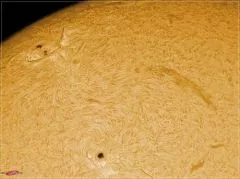 LUNT LS80THa / B1800CPT H-Alpha Solar Telescope