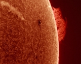 Pete Williamson, Astronom und Moderator zeigt uns hier eine kleine Auswahl seiner Solar Fotos.