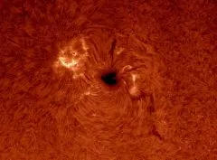 Pete Williamson, Astronom und Moderator zeigt uns hier eine kleine Auswahl seiner Solar Fotos.