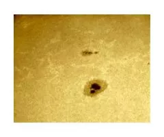 Daystar Instruments Quark Sonnenfilter fr Natrium D-Linie