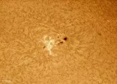 LUNT LS100FHa/B1200d2 H-alpha solar filter