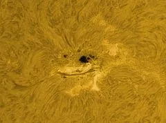 LUNT LS100FHa/B1200d2 H-alpha solar filter