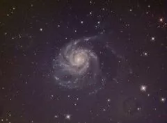 Erfahrung mit TS/GSO 8 f/8 RC mit M51, M101 und Leo Triplett