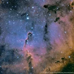 IC1396A mit SkyWatcher Evolux 82ED und ZWO ASI 533MC