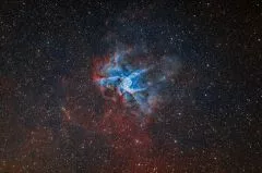 Heute mchten wir euch den Astrofotografen Heiner Wei vorstellen.