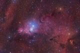 Aufnahme NGC2264 (Weihnachtsbaumnebel) mit Askar 107PHQ