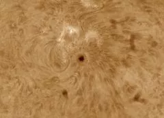 Baader Telecentric System TZ-4 (4x focal length)
