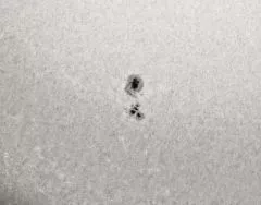 Sun image taken with Explorer 150PDS and Baader ASTF AstroSolar solar filter foil