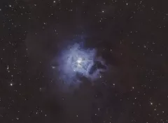 NGC 7023 - Iris Nebula with ZWO AM5, Explorer 200PDS, Zwo ASI1600MC-Pro