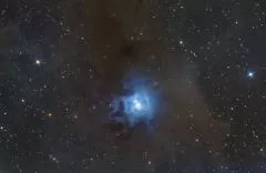 NGC 7023 - Iris Nebula with EQ6-R, Explorer 200PDS, Omegon VeTEC 571c