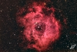 NGC2244 Rosettennebel mit dem TS65/420