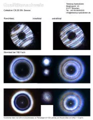 Sterntest und Ronchi fr ein Celestron C9.25
