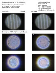 Sterntest und Ronchi fr einen TS PHOTOLINE 115/800mm Triplet AP